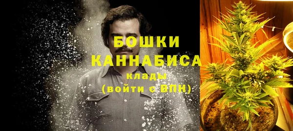 каннабис Новозыбков