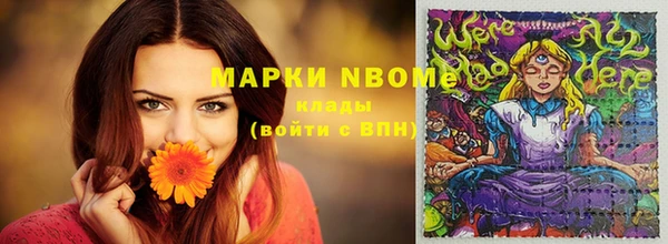 каннабис Новозыбков