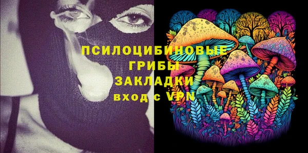 МДМА Новодвинск