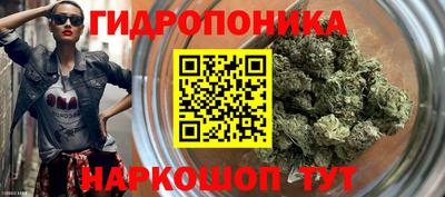 Альфа ПВП Жуковский