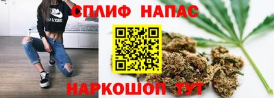 Альфа ПВП Жуковский