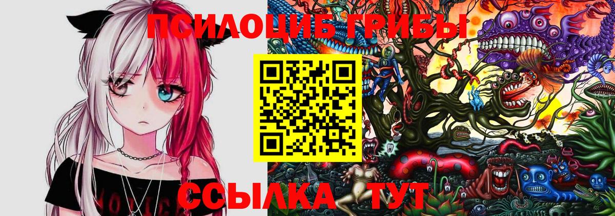 Псилоцибиновые грибы мухоморы  Ступино 