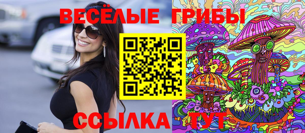 Псилоцибиновые грибы GOLDEN TEACHER  Вход с VPN  как найти закладки  Ступино 